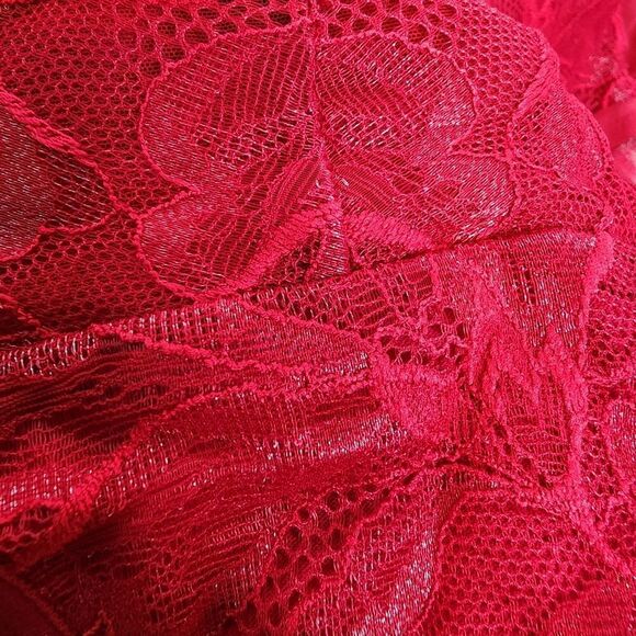 6X 30W Torrid Red Shimmer Lace Mid Rise Brief Removeable Garter Panty Lingerie - Picture 8 of 9